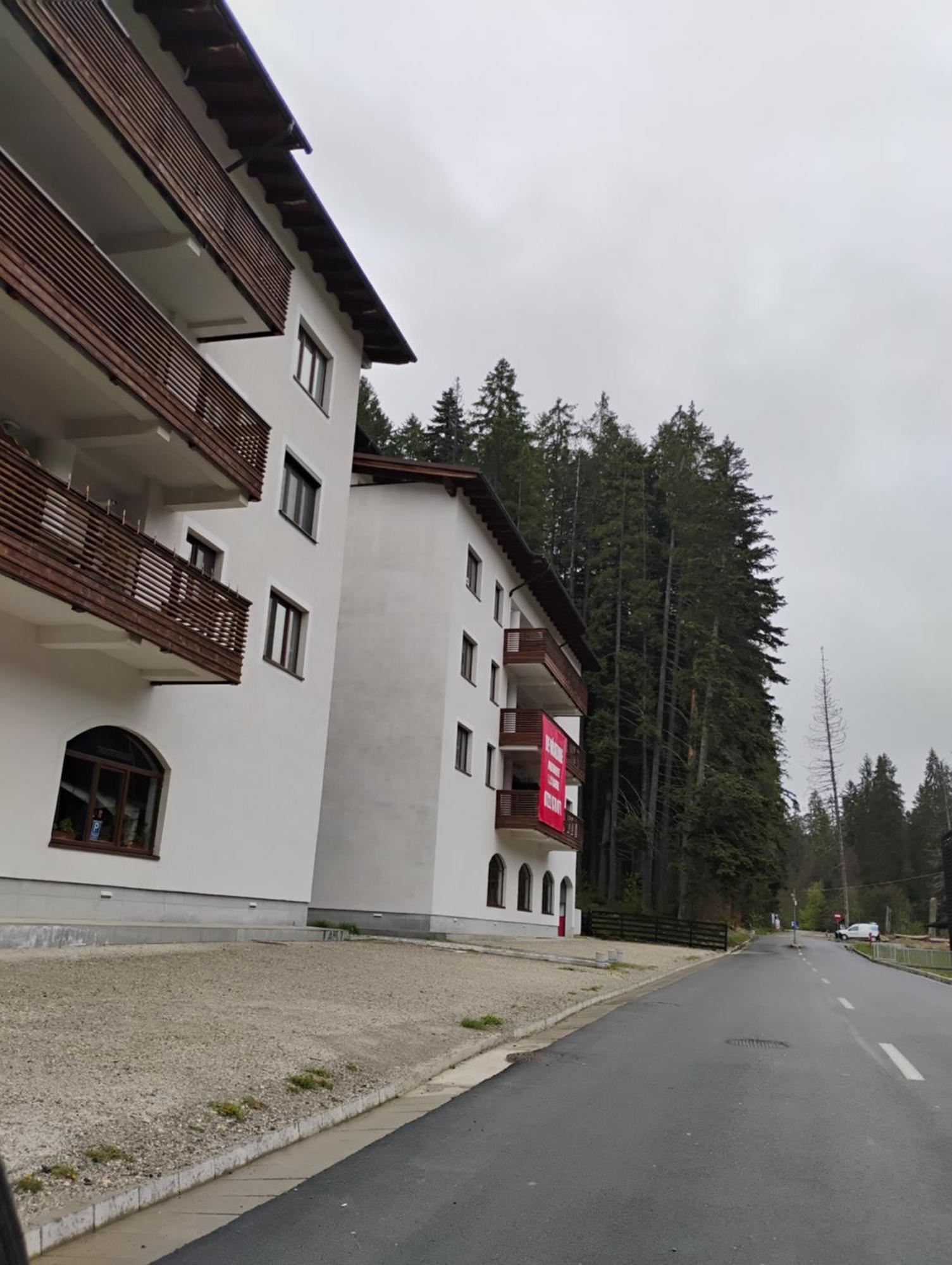 Forest Oasis Studio - Free Netflix And Disney Plus Predeal Esterno foto